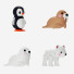 Zabawki Tolo Toys First Friends Polar Set - jj-m