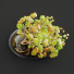 Pot de fleurs Bonsaï Sycomore - Hemase