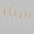 Вазы и растения Decorative Set 3 - Hemase
