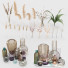 Вазы и растения Decorative Set 3 - Hemase