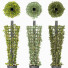 Macetas Planta Rascreadora - Hemase