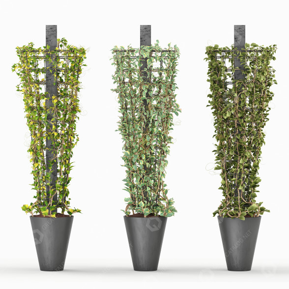 Macetas Planta Rascreadora Modelo 3D
