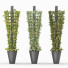 Macetas Planta Rascreadora - Hemase