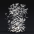 Blumen Echinacea purpurea alba - valeriy korol ld