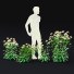 Blumen Echinacea purpurea alba - valeriy korol ld