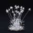 Blumen Echinacea pallida - valeriy korol ld