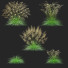 Gras Rasen-Schmiele - valeriy korol ld
