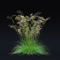 Gras Rasen-Schmiele - valeriy korol ld