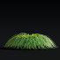 Hierba Carex caryophyllea - valeriy korol ld