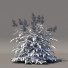 Blumen Volzhanka - valeriy korol ld