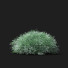 Krzewy Artemisia Schmidtiana - valeriy korol ld