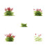 Kwiaty Astilbe Japonica Red - valeriy korol ld