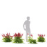 Kwiaty Astilbe Japonica Red - valeriy korol ld
