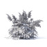 Kwiaty Astilbe Japonica Red - valeriy korol ld