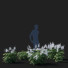 Kwiaty Astilbe Japonica White - valeriy korol ld