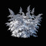 Kwiaty Astilbe Japonica White - valeriy korol ld