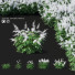 Kwiaty Astilbe Japonica White - valeriy korol ld