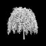 Drzewo Fagus Sylvatica Purpurea Pendula - valeriy korol ld