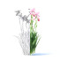 Kwiaty Iris Germanica 4 Colors - valeriy korol ld