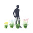 Kwiaty Iris Germanica 4 Colors - valeriy korol ld