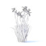 Kwiaty Iris Germanica 4 Colors - valeriy korol ld