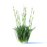 Kwiaty Iris Germanica 4 Colors - valeriy korol ld