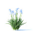 Kwiaty Iris Germanica 4 Colors - valeriy korol ld