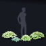 Trawa Hosta - valeriy korol ld