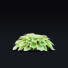 Trawa Hosta - valeriy korol ld