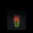 Trawa Imperata Cylindrical - valeriy korol ld