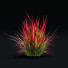 Trawa Imperata Cylindrical - valeriy korol ld