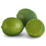 Fruta y decoración Lime and Juice - siries095