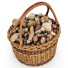 Pilze In a Basket - siries095