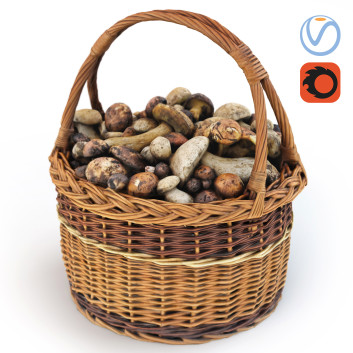 Гриби  In a Basket 3D модель