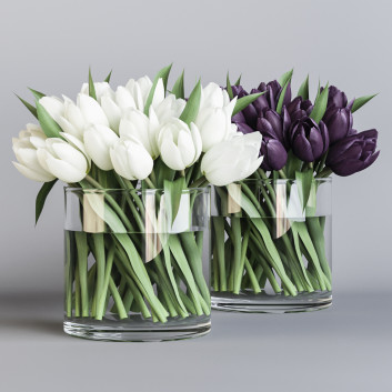 Bukiet  White and Purple Tulips Model 3D