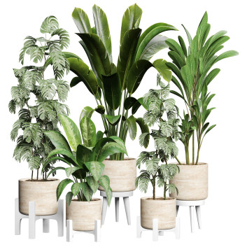 Вазоны  Коллекция 151 3D модель