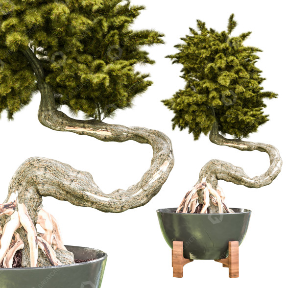 Pot de fleurs Bonsaï Vol 09 modèle 3D
