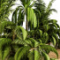 Doniczka Outdoor Plant Vol 11 - uniquevry