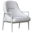 Fotel Modern Brass Accented Walnut Lounge - Abdurayim