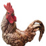 Estatuilla Rooster 2 - 3lordmax