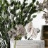Decoración Set 71 - 3lordmax