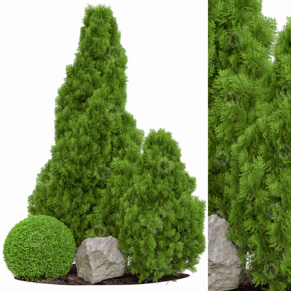 Trees Outdoor Plant Vol 18 3D model