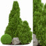 Trees Outdoor Plant Vol 18 - uniquevry