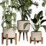 Flowerpots Collection 143 - uniquevry