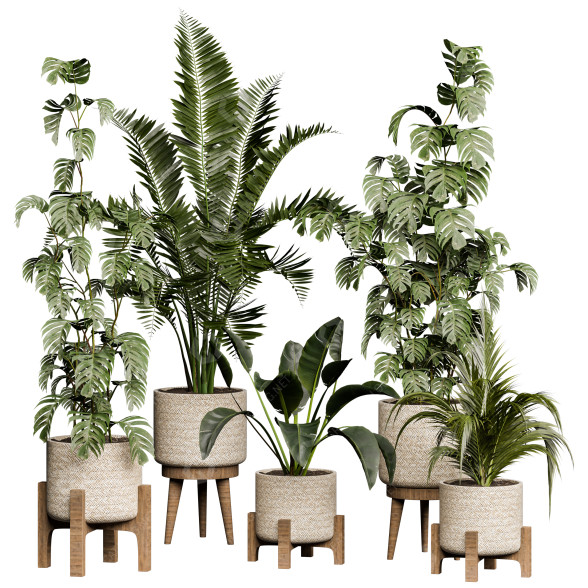 Flowerpots Collection 143 3D model