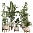 Flowerpots Collection 143 - uniquevry