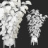 Maceta Ficus - uniquevry