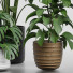 Flowerpots Collection 141 - uniquevry