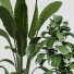Flowerpots Collection 141 - uniquevry
