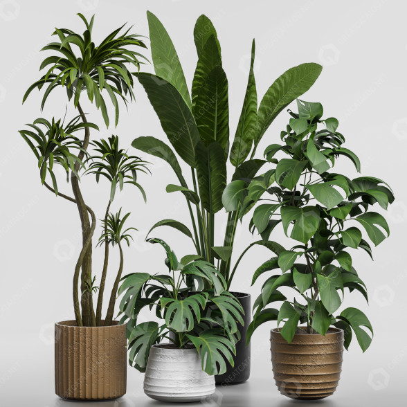 Flowerpots Collection 141 3D model